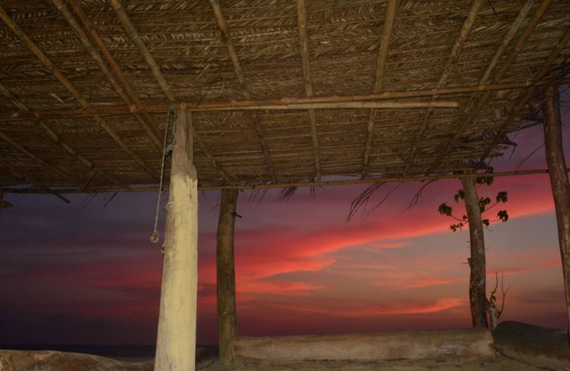 Los Colores de Swami