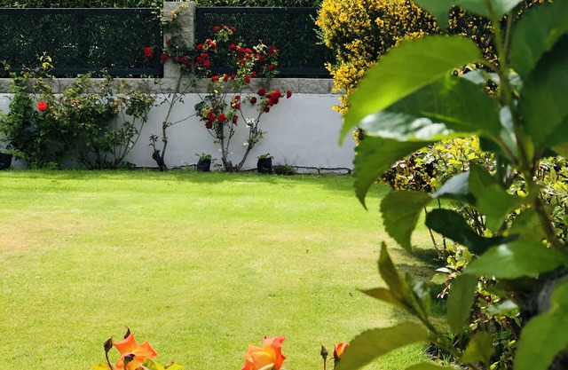 Los Lagos Hotel