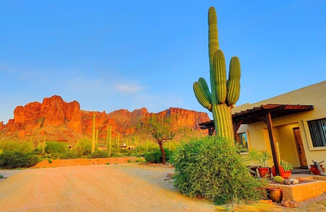 Beautiful Views Dog Friendly Lost Dutchmen Hideout