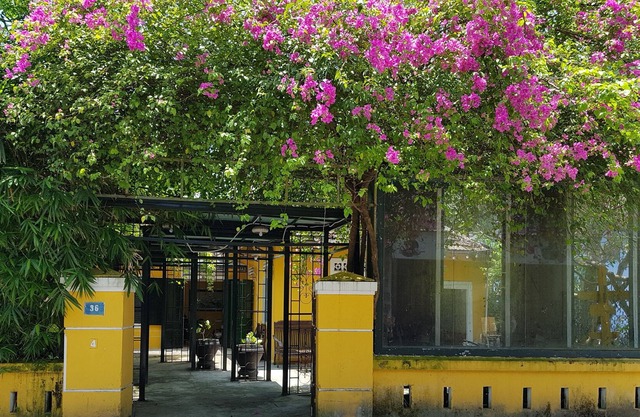 Lotus House