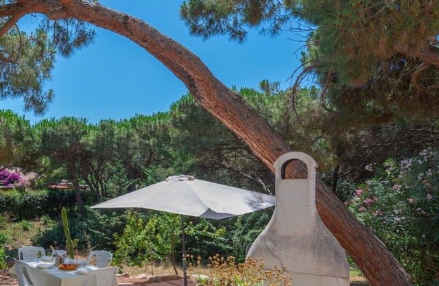 Bonito apartamento para 4 personas con A/C, WIFI, TV, patio y mascotas permitida