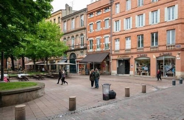 Lovely apartment in the heart of Toulouse