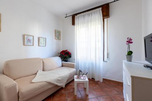 Lovely Apartment near Pisa Airport