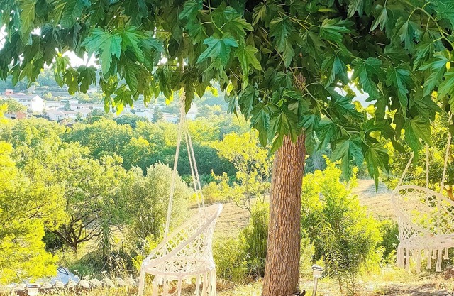 Lovely apartment with swimming pool and exterior