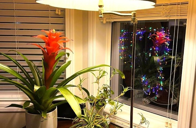 Lovely comfy home private bath in central Calgary