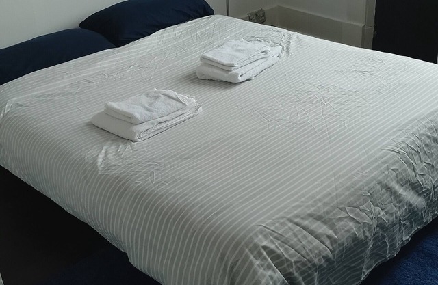Lovely flat near Glasgow