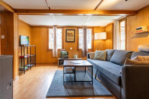 Lovely & great equipped wooden Alp Chalet flat