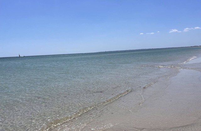 Estudio junto a la playa / Se aceptan mascotas