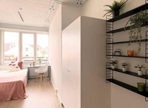 Lovely Studio w kitchen