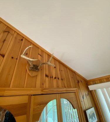 Lovely waterfront private cottage with hot tub in Kawartha Lakes