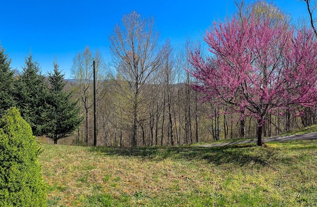 LOW SPRING RATES! Hot Tub, Long Range Views, Fire Pit & Wi-Fi
