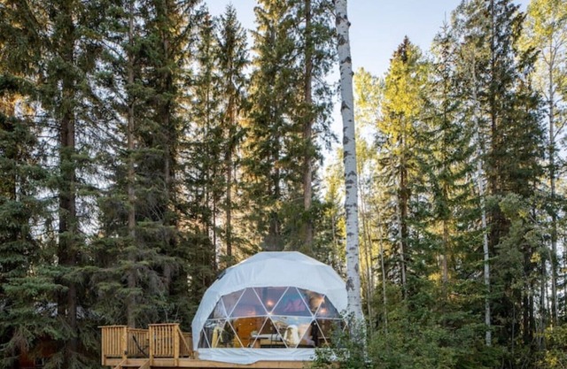 LSD- Luxe Serenity Dome @ The Blaeberry Base