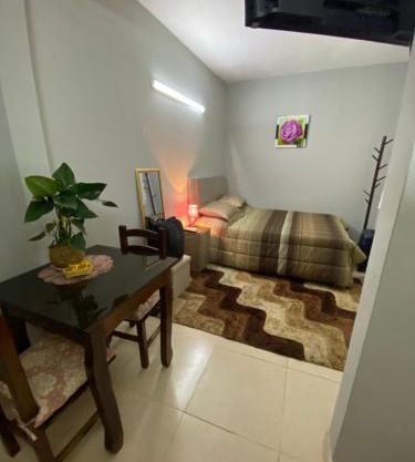 Lujoso ,cómodo MONOAMBIENTE