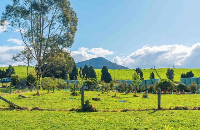 Lush Escape - Lake Taupo Holiday Home