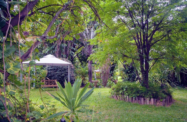 Lush Gardens Apartment 1