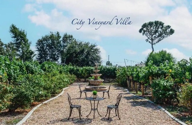 Lux Vineyard Retreat in 20,000 sqft lot near ONT