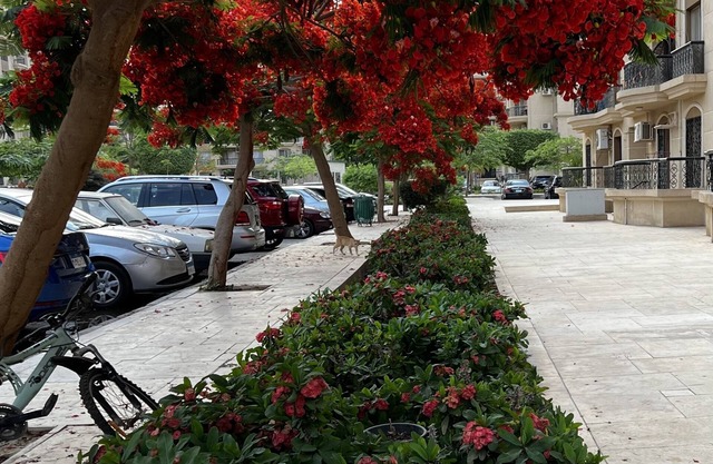 Luxe Living - 3 Bedrooms in Rehab City New Cairo Egypt