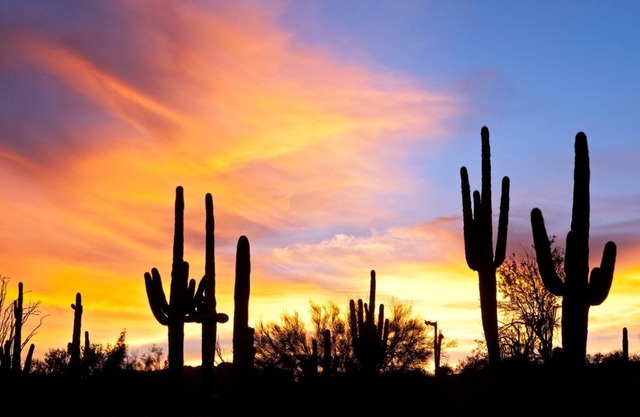 Luxe Modern Villa w 2 King beds, heated pool/spa & mtn views in East Scottsdale