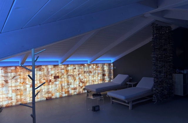 Luxory penthouse in the city center with spa