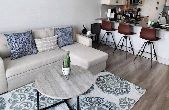 Luxurious 1 BR Apt in Ybor City
