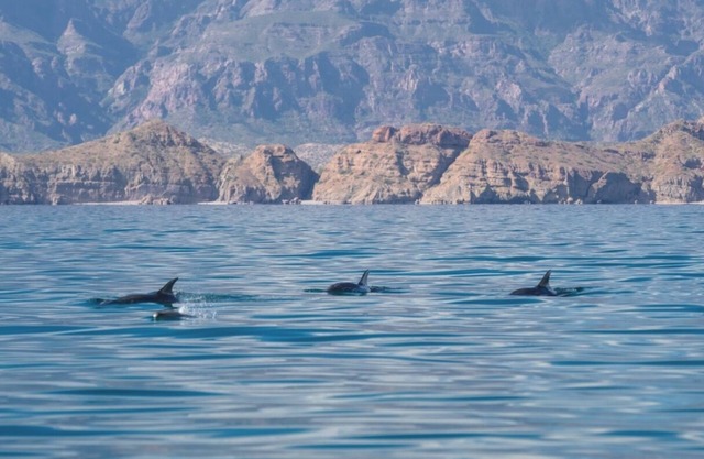 Luxurious Loreto Escape: Coastal Beauty Meets Ultimate Comfort
