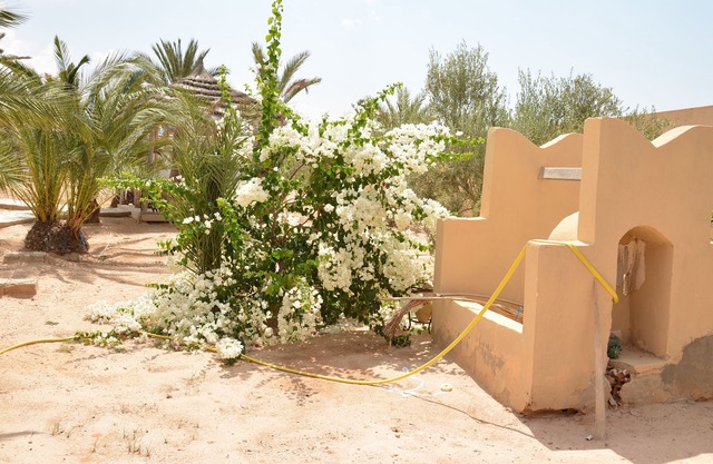 Luxurious riad