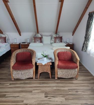 Luxurious studio room