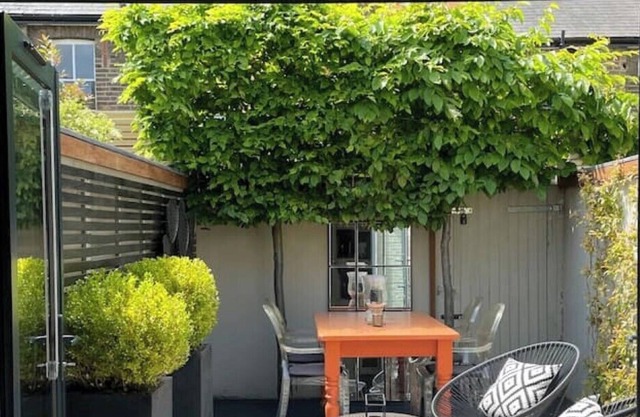 Luxurious & stylish cottage in central Richmond. 10 mins to river, park, train.