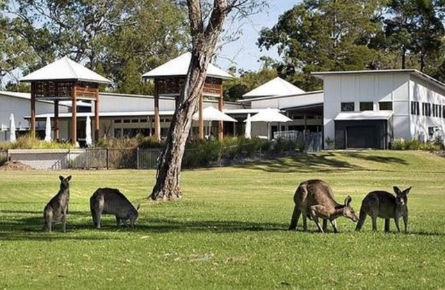 Lujosa casa de playa: paraíso australiano en una zona nativa de Bushland. Piscina expansiva, spa