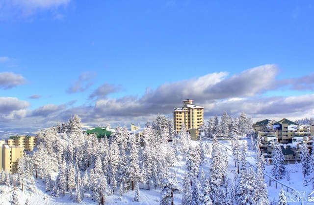 Lujo 2/2 - Ascensor privado a Heavenly-OMG views-Discount!¡21-28 DE MARZO 2020 SOLO!