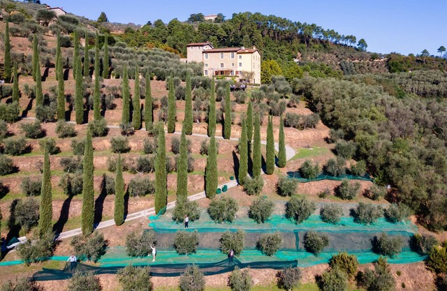Luxury 6-bed Tuscan Villa Near Lucca and Florence