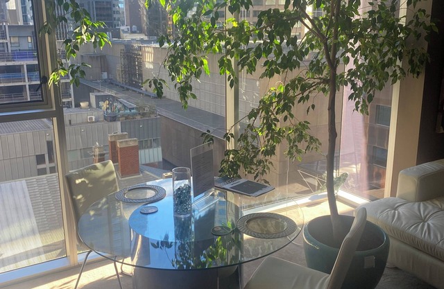 Luxury Accommodation with roof top pool.