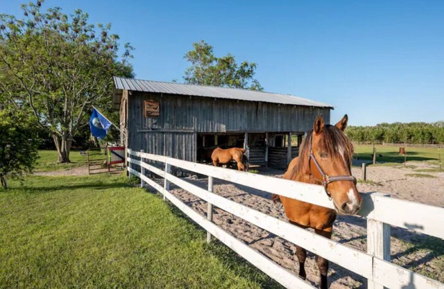 Luxury and comfort Rv on a farm
