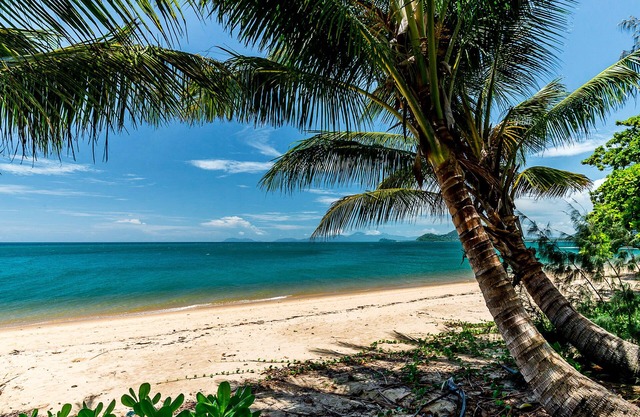 Luxury Apartment at Sea Temple Palm Cove 2 Bed 2 Bath