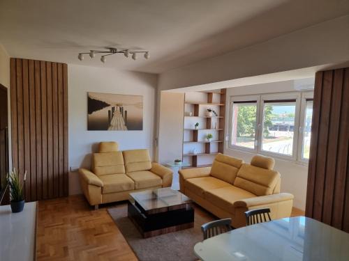 Luxury Apartment