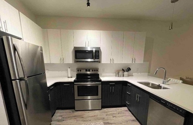 Luxury Apartment