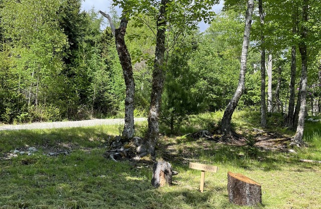 Luxury Bell Tent steps from Acadia National Park.