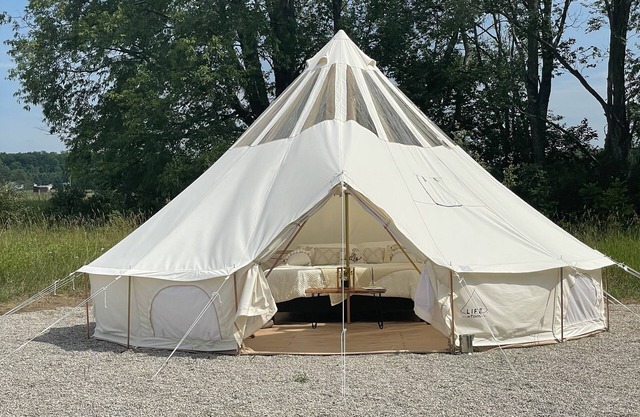 Luxury Bell Tent on Lavender and Alpaca Farm