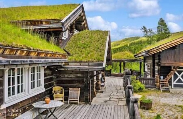 Large cabin on Nesfjellet / pure luxury feeling