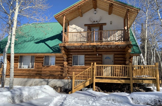 Luxury cabin on wooded lot w/bonus tiny house