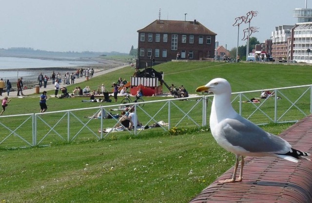 Lujo Piso 'Heligoland avant-garde' directamente en South Beach en Wilhelmshaven