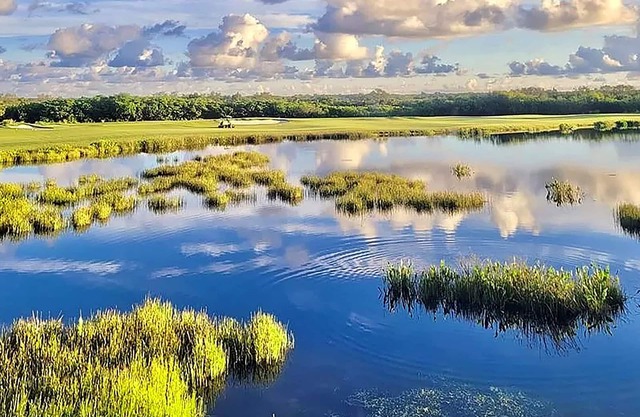 Luxury Condo at River Strand Golf & Country Club