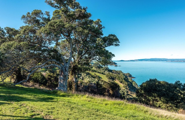 Luxury Cottages on Private Coastal Estate, Hot Tub, Fire Pit, Beach Access