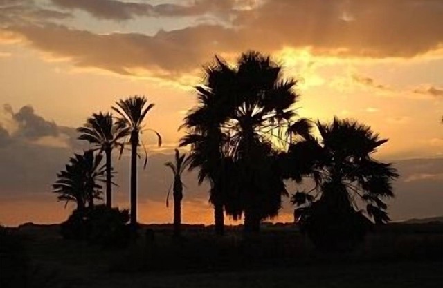 Villa independiente de lujo Vistas a la piscina privada aislada sobre los campos y un olivar