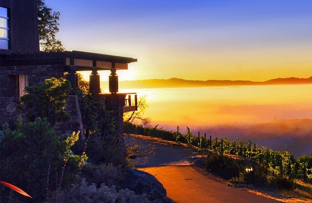 Luxury Estate Home in the Heart of the Vineyard