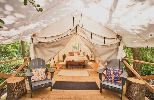 Luxury Glamping on Elora Sunflower Farm - Fox