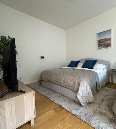 Luxury Modern Apartment