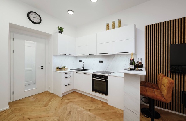 Luxury Musicians Apartment Central Praha