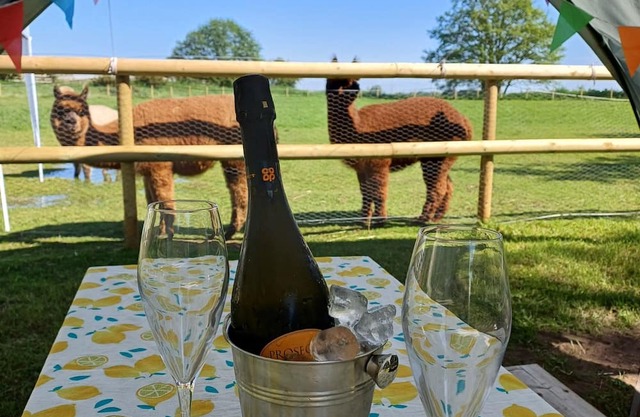 Luxury Retreat near York - Adults Only