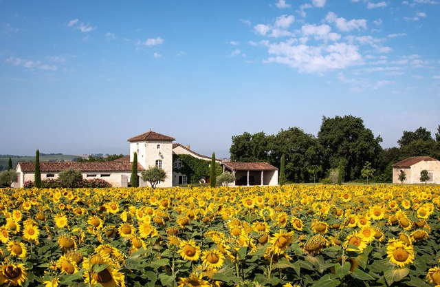 Aislado, recientemente restaurado 14 quater de lujo colina granja set en 10 hectáreas